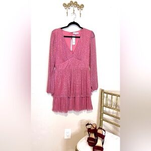 Francesca's Collections Victorian Mauve Dress. Ribbed Metallic Chiffon. Size M